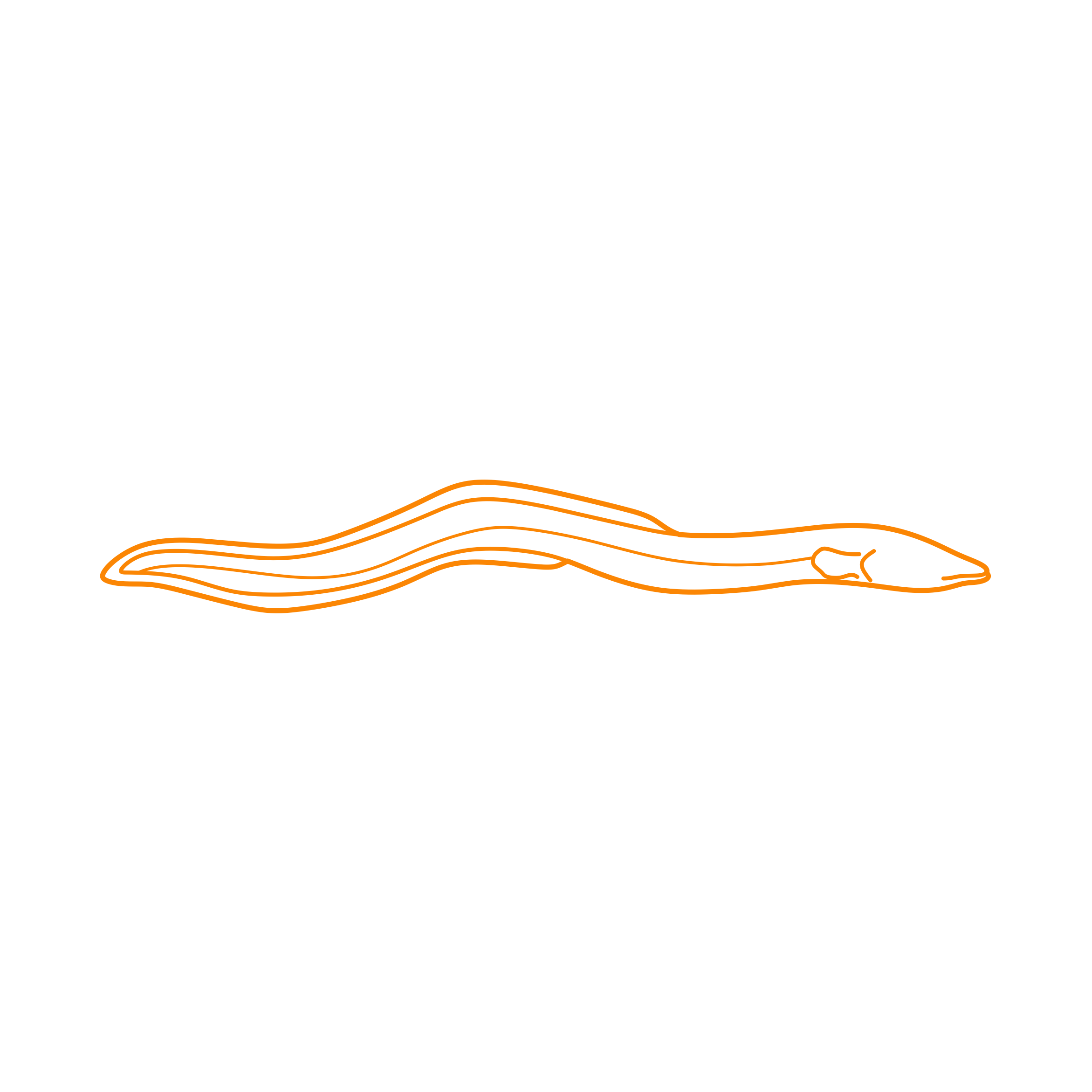 Animals Eels European Eel Line Art Svg Vector Free Vectors